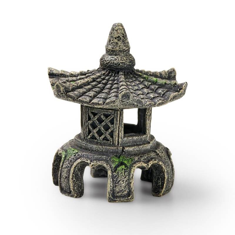 EDEN Asien Tempel W von Eden