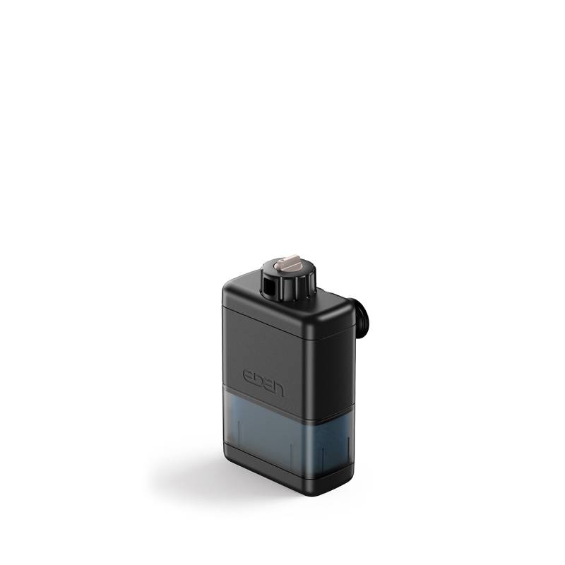 EDEN Innenfilter FIN X 60 von Eden