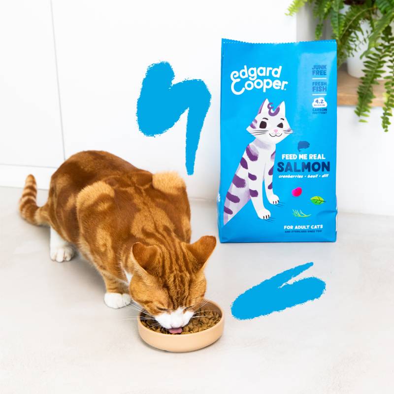 Edgard & Cooper Adult Cat - Atlantischer Lachs - Stückchen - 2 x 4 kg Edgard & Cooper Adult Cat - Atlantischer Lachs - Stückchen - 2 x 4 kg von Edgard & Cooper