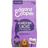 Edgard & Cooper Puppy Lachs und Truthahn 7 kg von Edgard & Cooper