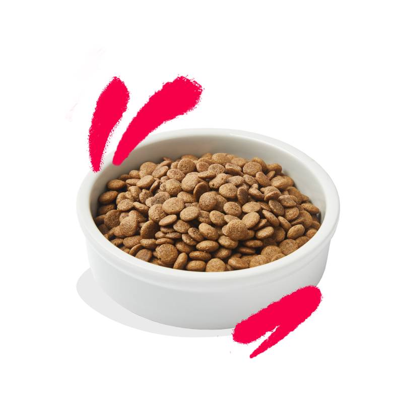Edgard & Cooper Senioren-Katze - Huhn, Truthahn aus Freilandhaltung - 2 x 2 kg Edgard & Cooper Senioren-Katze - Huhn, Truthahn aus Freilandhaltung - 2 x 2 kg von Edgard & Cooper