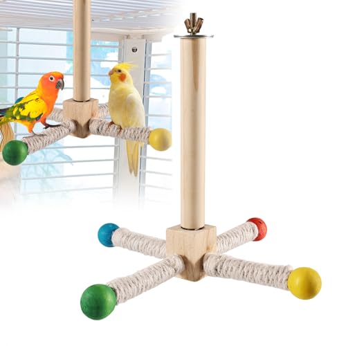 Vogelspielzeug 360° Drehbares Vogel Spielzeug,Hängende Spielständer für Vogelkäfige,Wellensittich Zubehör, Geeignet für Papageien, Sittiche, Vögel, Zimmervolieren Vogelspielzeug 360° Drehbares Vogel Spielzeug,Hängende Spielständer für Vogelkäfige,Wellensittich Zubehör, Geeignet für Papageien, Sittiche, Vögel, Zimmervolieren von Editbar