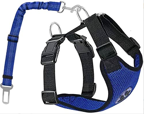 Edpros Hundegeschirr verstellbar für kleine mittelgroße und große Hunde inklusive Leine für Sicherheit im PKW (M, Blau) von Edpros