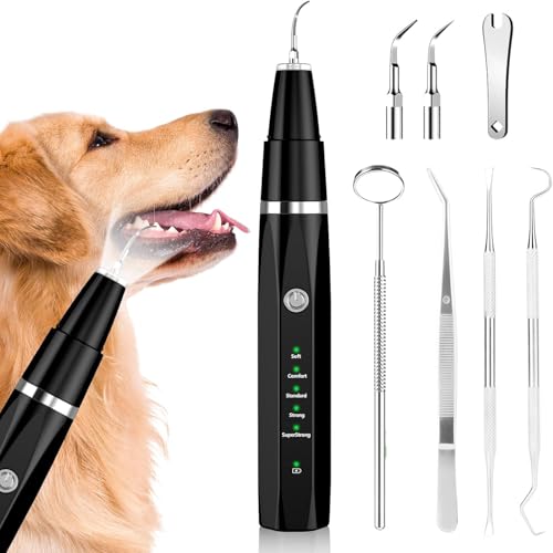 Zahnsteinentferner Hund, Haushund Zahnstein Entfernen Scaling, Zahnreinigungsset professionell mit 5 Reinigungsmodi, 4 Reinigungsköpfen (Schwarz) von Edteanu