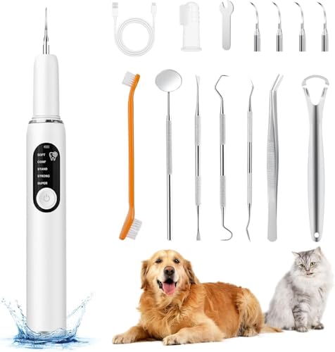 Zahnsteinentferner Hund, Haushund Zahnstein Entfernen Scaling, Zahnreinigungsset professionell mit 5 Reinigungsmodi, 4 Reinigungsköpfen (Weiß) von Edteanu