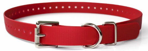 Educator Biothane Halsband, 2,5 cm, Rot Educator Biothane Halsband, 2,5 cm, Rot von Educator