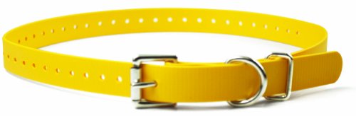Educator Biothane Hundehalsband, wasserdicht, geruchlos, Metallschnalle und D-Ring, verstellbar für individuelle Passform, kühl und bequem, für kleine, mittelgroße oder große Hunde, 1,9 cm, Gelb Educator Biothane Hundehalsband, wasserdicht, geruchlos, Metallschnalle und D-Ring, verstellbar für individuelle Passform, kühl und bequem, für kleine, mittelgroße oder große Hunde, 1,9 cm, Gelb von Educator