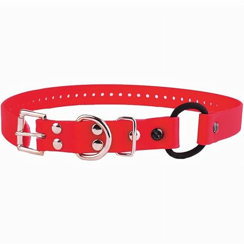 Educator Bungee-Hundehalsband, Biothan, wasserdicht, geruchlos, Metallschnalle und D-Ring mit Komfort-Bungee-Schlaufe, verstellbar für individuelle Passform, 1,9 cm, Rot von Educator