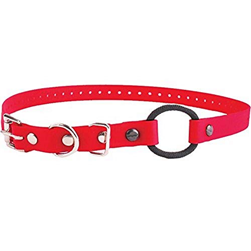 Educator Bungee-Hundehalsband, Biothan, wasserdicht, geruchlos, Metallschnalle und D-Ring mit Komfort-Bungee-Schlaufe, verstellbar für individuelle Passform, 1,9 cm, Rot von Educator