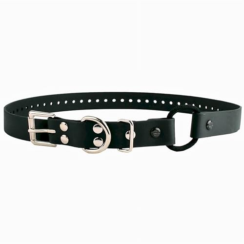 Educator Bungee-Halsband, 1,9 cm breit, 83 cm lang, Schwarz Educator Bungee-Halsband, 1,9 cm breit, 83 cm lang, Schwarz von Educator