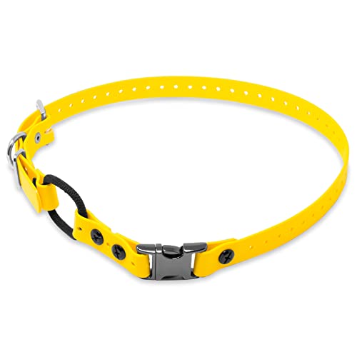Educator Elastisches Hundehalsband mit Schnellverschluss aus Biothane | Wasserdicht | Geruchlos | Einfaches An- und Ausstecken | D-Ring mit bequemer elastischer Schlaufe | Verstellbar für eine max Educator Elastisches Hundehalsband mit Schnellverschluss aus Biothane | Wasserdicht | Geruchlos | Einfaches An- und Ausstecken | D-Ring mit bequemer elastischer Schlaufe | Verstellbar für eine max von Educator