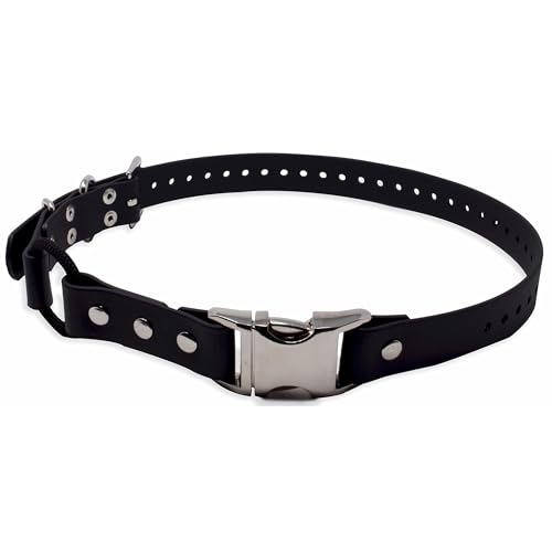 Educator Quick Snap Bungee-Hundehalsband, Biothan, wasserdicht, geruchlos, einfach zu verbinden und zu trennen, Verschluss und D-Ring mit Komfort-Bungee-Schlaufe, verstellbar für individuelle Educator Quick Snap Bungee-Hundehalsband, Biothan, wasserdicht, geruchlos, einfach zu verbinden und zu trennen, Verschluss und D-Ring mit Komfort-Bungee-Schlaufe, verstellbar für individuelle von Educator