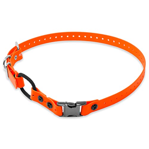 Educator Quick Snap Bungee Dog Collar, Biothane, Waterproof, Odorproof, Easy Connect and Disconnect Clasp and D Ring with Comfort Bungee Loop, Adjustable for Custom Fit, 1-Inch, Orange Educator Quick Snap Bungee Dog Collar, Biothane, Waterproof, Odorproof, Easy Connect and Disconnect Clasp and D Ring with Comfort Bungee Loop, Adjustable for Custom Fit, 1-Inch, Orange von Educator