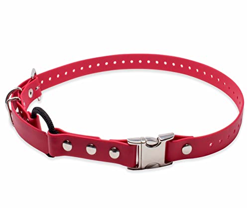 Educator Bungee-Halsband mit Schnellverschluss, 2,5 cm breit, 83 cm lang, Rot Educator Bungee-Halsband mit Schnellverschluss, 2,5 cm breit, 83 cm lang, Rot von Educator