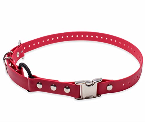 Educator Quick Snap Bungee-Halsband, 2,5 cm breit, 84,4 cm lang, Rot von Educator