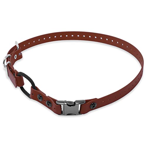 Educator Quick Snap Bungee-Hundehalsband, Biothan, wasserdicht, geruchlos, einfach zu verbinden und zu trennen, Verschluss und D-Ring mit Komfort-Bungee-Schlaufe, verstellbar für individuelle Passform von Educator