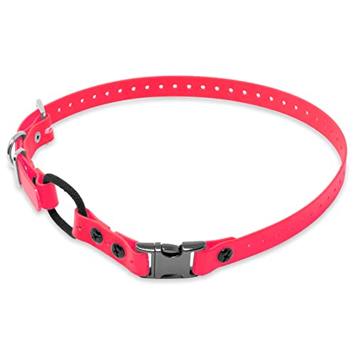 Educator Quick Snap Bungee-Hundehalsband, Biothan, wasserdicht, geruchlos, einfach zu verbinden und zu trennen, Verschluss und D-Ring mit Komfort-Bungee-Schlaufe, verstellbar für individuelle Educator Quick Snap Bungee-Hundehalsband, Biothan, wasserdicht, geruchlos, einfach zu verbinden und zu trennen, Verschluss und D-Ring mit Komfort-Bungee-Schlaufe, verstellbar für individuelle von Educator