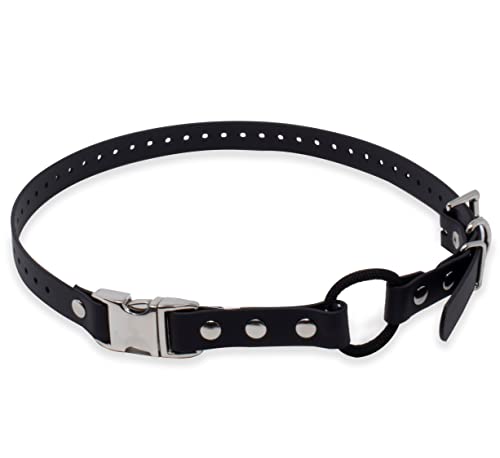 Educator Quick Snap Bungee-Hundehalsband, Biothan, wasserdicht, geruchlos, einfach zu verbinden und zu trennen, Verschluss und D-Ring mit Komfort-Bungee-Schlaufe, verstellbar für individuelle Educator Quick Snap Bungee-Hundehalsband, Biothan, wasserdicht, geruchlos, einfach zu verbinden und zu trennen, Verschluss und D-Ring mit Komfort-Bungee-Schlaufe, verstellbar für individuelle von Educator