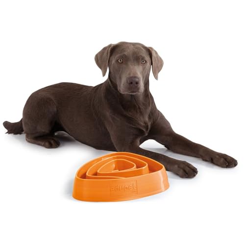 Edupet 06028AC Futternapf, Anti-schling Napf, Fressnapf, Feeder slow Eating, Slow Feeder, für mittel bis große Hunde, 700ml, Durchmesser: 28,5 cm, orange von Edupet