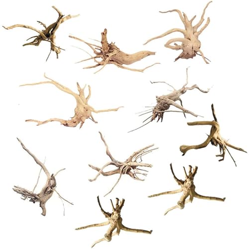 Eduuyvee Mini Treibholz für Aquarium Natur Holz Zweige Aquarium Dekorationen Reptilien Baum Stamm Treibholz Sortiert (10 Pack) von Eduuyvee