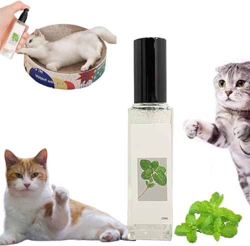 Kräuter-Katzenfreude, Katzenminze-Spray für Katzen, Kräuter-Katzenfreude-Spray, Katzentrainingsspray mit Katzenminze, Katzenkratzspray, Stress- und Angstlinderung, beruhigt Ihre Katze (1 Stück) von Eeiiey