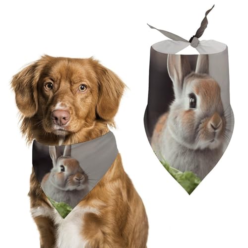 Hundehalstuch, Motiv: Rabbit is Eating Vegetables, verstellbares Lätzchen, Taschentuch, Party-Dekoration, niedliches Dreieckstuch für kleine, mittelgroße Welpen, Katzen, Kostüm-Zubehör von Eekstdbn