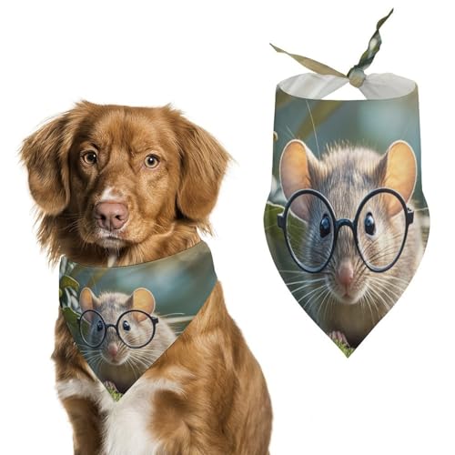 Hundehalstücher mit Brille, Motiv: Meerschweinchen mit Brille, verstellbares Lätzchen, Party-Haustier-Dekorationen, niedlicher Dreieckstuch für kleine, mittelgroße Welpen, Katzen, Kostüm-Zubehör von Eekstdbn