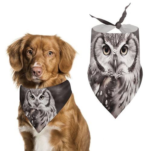 Hundehalstücher mit Eulen-Motiv, verstellbar, Party-Dekoration, niedliches Dreieckstuch für kleine, mittelgroße Welpen, Katzen, Kostüm-Zubehör Hundehalstücher mit Eulen-Motiv, verstellbar, Party-Dekoration, niedliches Dreieckstuch für kleine, mittelgroße Welpen, Katzen, Kostüm-Zubehör von Eekstdbn
