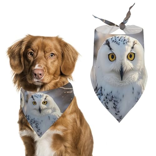 Hundehalstücher mit Eulen-Motiv, verstellbar, für Party, Haustierdekoration, niedlicher Hund, Dreieckstuch für kleine, mittelgroße Welpen, Katzen, Kostüm-Zubehör Hundehalstücher mit Eulen-Motiv, verstellbar, für Party, Haustierdekoration, niedlicher Hund, Dreieckstuch für kleine, mittelgroße Welpen, Katzen, Kostüm-Zubehör von Eekstdbn