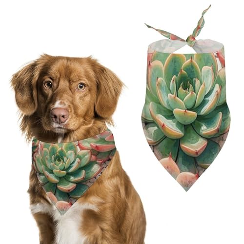 Hundehalstücher mit Sukkulentenblumen, verstellbares Lätzchen, Party-Dekoration, niedlicher Dreieckstuch für kleine, mittelgroße Welpen, Katzen, Kostüm-Zubehör Hundehalstücher mit Sukkulentenblumen, verstellbares Lätzchen, Party-Dekoration, niedlicher Dreieckstuch für kleine, mittelgroße Welpen, Katzen, Kostüm-Zubehör von Eekstdbn