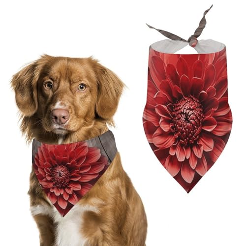 Hundehalstücher mit roter Blume und Dahlie, verstellbares Lätzchen, Party-Haustier-Dekorationen, niedliches Hunde-Dreieckstuch für kleine, mittelgroße Welpen, Katzen, Kostüm-Zubehör Hundehalstücher mit roter Blume und Dahlie, verstellbares Lätzchen, Party-Haustier-Dekorationen, niedliches Hunde-Dreieckstuch für kleine, mittelgroße Welpen, Katzen, Kostüm-Zubehör von Eekstdbn