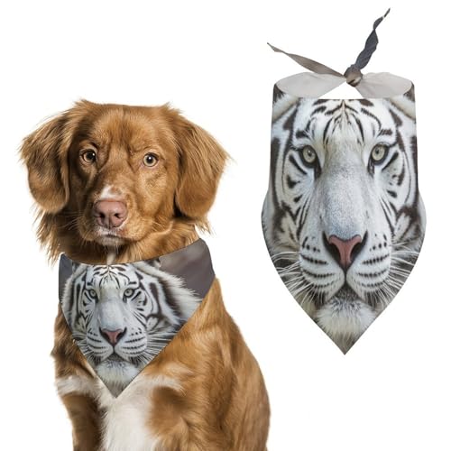 Hundehalstücher mit weißem Tiger, verstellbares Lätzchen, Party-Haustier-Dekorationen, niedlicher Hund, Dreieckstuch für kleine, mittelgroße Welpen, Katzen, Kostüm-Zubehör Hundehalstücher mit weißem Tiger, verstellbares Lätzchen, Party-Haustier-Dekorationen, niedlicher Hund, Dreieckstuch für kleine, mittelgroße Welpen, Katzen, Kostüm-Zubehör von Eekstdbn