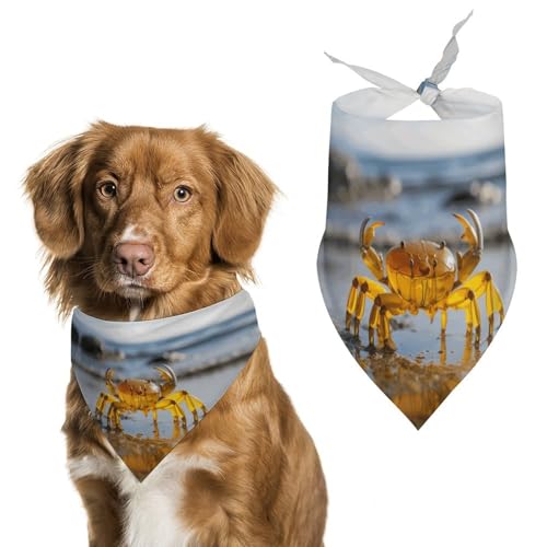 Transparente Hundehalstücher in Krabbenform, verstellbares Lätzchen, Party-Haustier-Dekorationen, niedliches Dreieckstuch für kleine, mittelgroße Welpen, Katzen, Kostüm-Zubehör Transparente Hundehalstücher in Krabbenform, verstellbares Lätzchen, Party-Haustier-Dekorationen, niedliches Dreieckstuch für kleine, mittelgroße Welpen, Katzen, Kostüm-Zubehör von Eekstdbn
