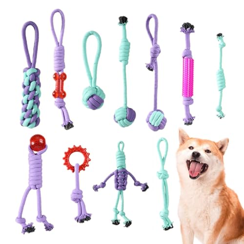 Eelogoo Hundespielzeug unzerstörbare Seil, Hundeseilspielzeug Set für Welpe Hunde, Welpen Kauspielzeug Zahnen Spielzeug, Interaktives Seil für mittlere und große Hunderassen von Eelogoo