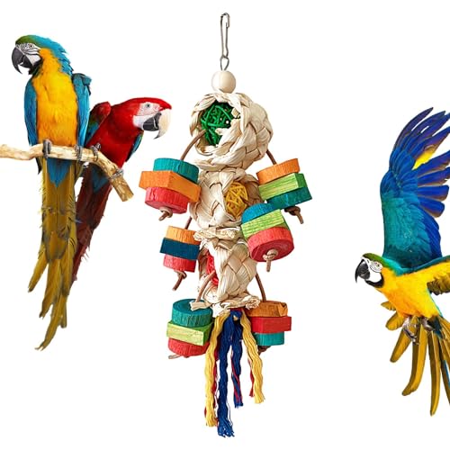 Eelogoo Papagei Spielzeug Vogelspielzeug, Vogel Papagei Natürliches Kau-Spielzeug Holzblockspielzeug für Kakadus, Graupapageien, Aras und Amazonaspapageien von Eelogoo