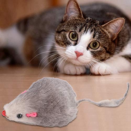 Eeneme 12 Stück Haustier Katzenspielzeug Kleine Plüschmaus Mini Lustiges Katzenspielzeug Gefälschte Maus für Kätzchen Katze von Eeneme