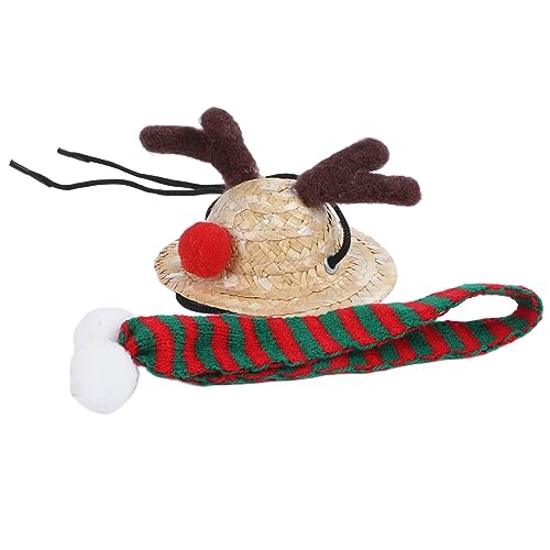 Eeneme Bartagamen-Weihnachtsmannmütze, Süßer Weicher Schal, Verstellbare Größe, Leuchtende Farben, Eidechsen-Weihnachtsmannmütze mit Schal (Grüner Schal) von Eeneme