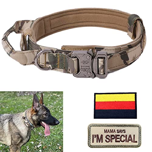 Hundehalsband Verstellbar mit Kontrollgriff, Taktisch Halsband Nylon, Hunde Halsband Gepolstert, Metallschnalle, für Mittlere Große Hunde Jagd Training Outdoor, K9 Grau L Breit von Eeyfarog