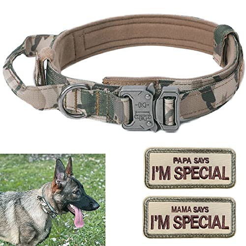 Hundehalsband Verstellbar mit Kontrollgriff, Taktisch Halsband Nylon, Hunde Halsband Gepolstert, Metallschnalle, für Mittlere Große Hunde Jagd Training Outdoor, K9 Grau XL von Eeyfarog