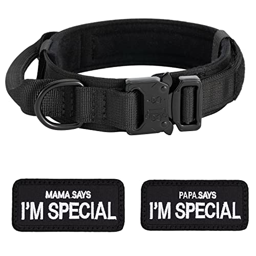 Hundehalsband Verstellbar mit Kontrollgriff, Taktisch Halsband Nylon, Hunde Halsband Gepolstert, Metallschnalle, für Mittlere Große Hunde Jagd Training Outdoor, Schwarz L Hundehalsband Verstellbar mit Kontrollgriff, Taktisch Halsband Nylon, Hunde Halsband Gepolstert, Metallschnalle, für Mittlere Große Hunde Jagd Training Outdoor, Schwarz L von Eeyfarog