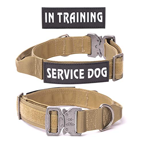 Hundehalsband Verstellbar mit Kontrollgriff, Taktisch Halsband Nylon, Hunde Halsband Gepolstert, Metallschnalle, für Mittlere Große Hunde Jagd Training Outdoor, M Hundehalsband Verstellbar mit Kontrollgriff, Taktisch Halsband Nylon, Hunde Halsband Gepolstert, Metallschnalle, für Mittlere Große Hunde Jagd Training Outdoor, M von Eeyfarog