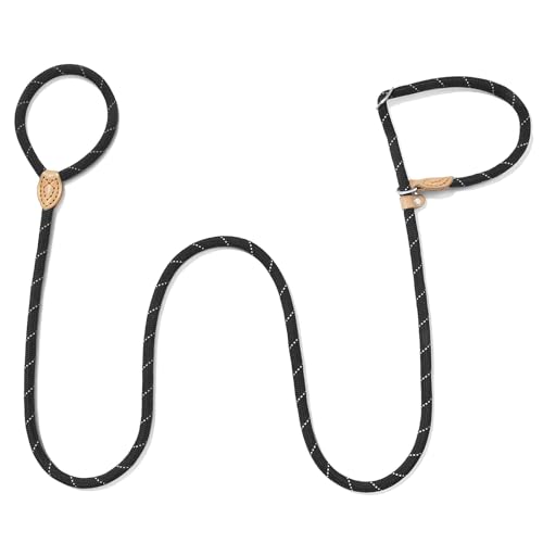 Hundeleine Retrieverleine mit zugstopp, Retriever Leine mit integrierter Halsung, Dauerhafte Weiche Geflochten mit Halsband Einstellbar für Kleine Mittlere und Große Hunde Schwarz Hundeleine Retrieverleine mit zugstopp, Retriever Leine mit integrierter Halsung, Dauerhafte Weiche Geflochten mit Halsband Einstellbar für Kleine Mittlere und Große Hunde Schwarz von Eeyfarog