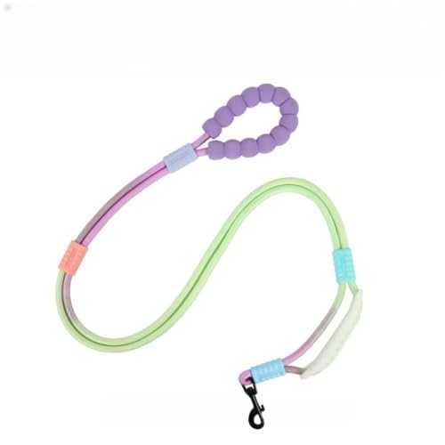Hundeleine, Doppelgriff, freihändig, bequemer gepolsterter Griff, drehbarer Metallclip, Hunde-Taillenleine für kleine bis mittelgroße Hunde, Spazierengehen, Training, Laufen (Violettgrün, 1,5 m) von EffiBrill