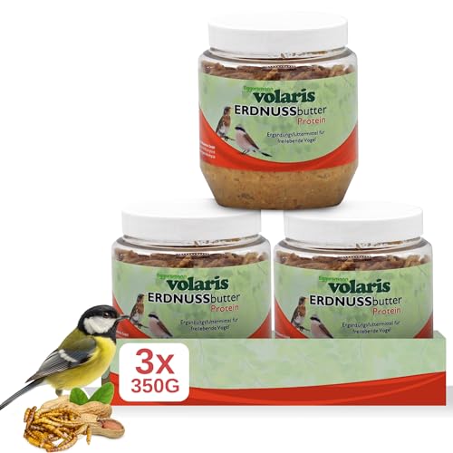 Eggersmann volaris 3 x 350g Premium Erdnussbutter mit Insekten für Wildvögel - Kalorienreiches Fettfutter - Erdnussbutter Vögel im Kunststoff - Glas (Insekten, 3 x 350 g) von Eggersmann volaris