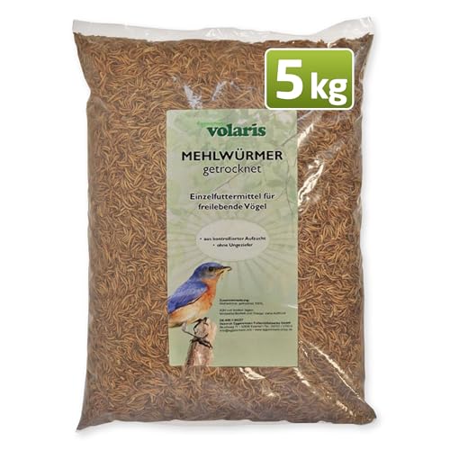 Eggersmann volaris 5 kg Mehlwürmer getrocknet | Proteinreich & Natürlich | Ideal für alle Vogelarten | Wildvogelfutter Ganzjahresfutter von Eggersmann volaris