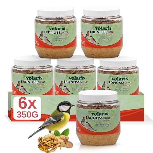 Eggersmann volaris 6 x 350g Premium Erdnussbutter mit Insekten für Wildvögel - Kalorienreiches Fettfutter - Erdnussbutter Vögel im Kunststoff - Glas (6 x 350 g, Insekten) von Eggersmann volaris