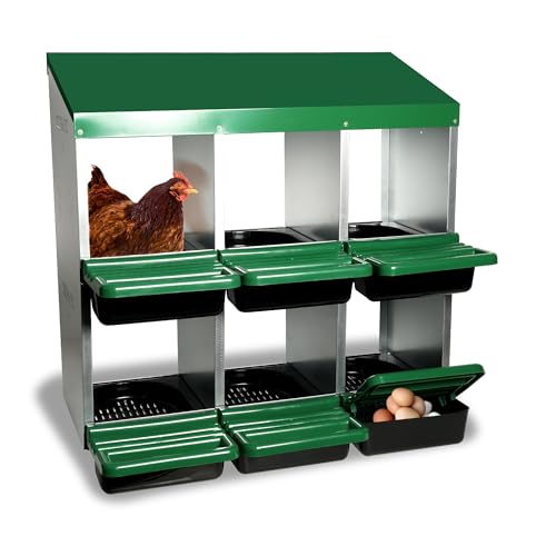 Eggluuz Hühner Nistkasten 6 Fächer Hühner Eier Legenistkästen für Hühner Eggluuz Hühner Nistkasten 6 Fächer Hühner Eier Legenistkästen für Hühner von Eggluuz