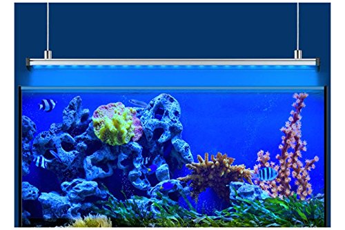 Eheim Rampe Power LED + Marineblau Hybrid Beleuchtung für Aquarien 1349 mm 44,3 W von Eheim