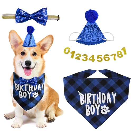 Hund Geburtstag Hut, 13 Pcs Haustier Geburtstag Hut Kit mit 1 Hund Bandana, 1 Fliege, 10 Glitter Nummern, Party Hut für Kleine Mittlere Große Hunde, Geburtstag Kappe Katzen Party Dekoration (Blau) von Ehuihuan