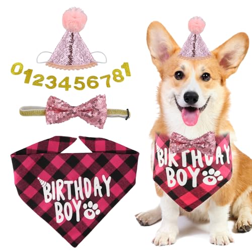 Hund Geburtstag Hut, 13 Pcs Haustier Geburtstag Hut Kit mit 1 Hund Bandana, 1 Fliege, 10 Glitter Nummern, Party Hut für Kleine Mittlere Große Hunde, Geburtstag Kappe Katzen Party Dekoration (Rosa) von Ehuihuan
